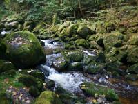 Bemooste Felsen säumen das Bachufer - Buchberger Leite